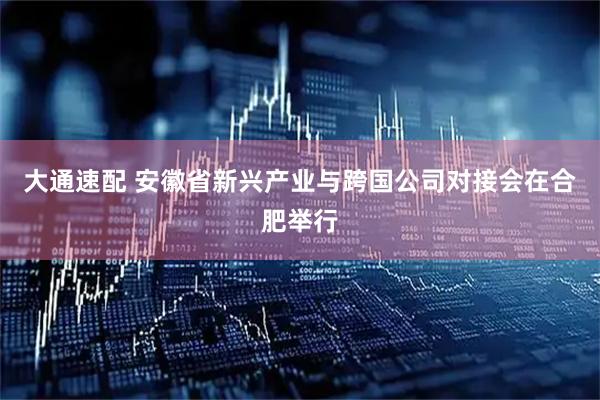 大通速配 安徽省新兴产业与跨国公司对接会在合肥举行