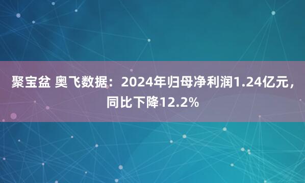 聚宝盆 奥飞数据：2024年归母净利润1.24亿元，同比下降12.2%