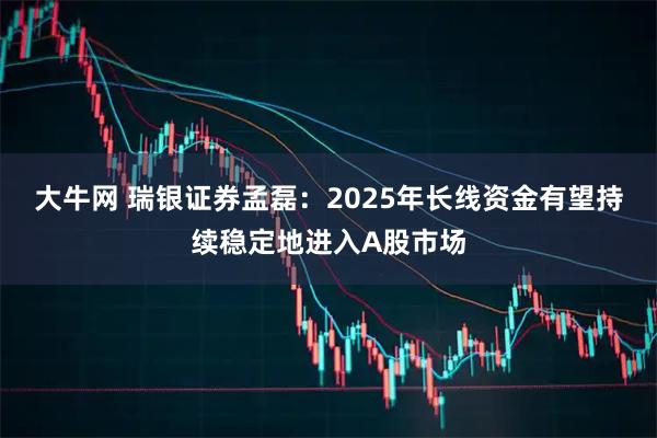 大牛网 瑞银证券孟磊：2025年长线资金有望持续稳定地进入A股市场