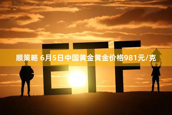 顺策略 6月5日中国黄金黄金价格981元/克