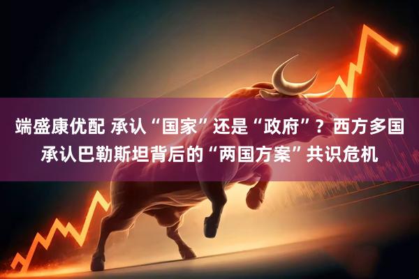 端盛康优配 承认“国家”还是“政府”？西方多国承认巴勒斯坦背后的“两国方案”共识危机