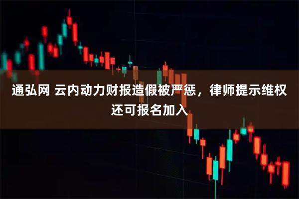 通弘网 云内动力财报造假被严惩,律师提示维权还可报名加入