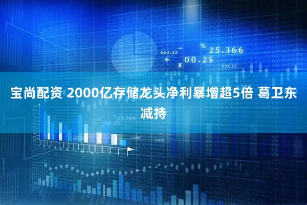 宝尚配资 2000亿存储龙头净利暴增超5倍 葛卫东减持
