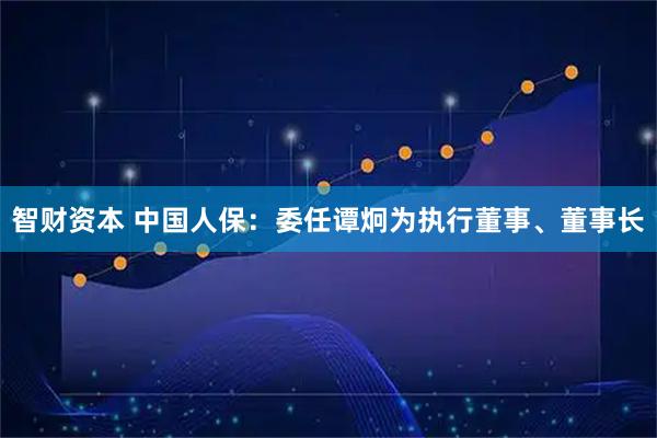 智财资本 中国人保：委任谭炯为执行董事、董事长